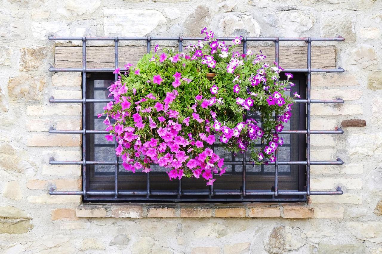 Bed and Breakfast Casale Le Orme Todi Zewnętrze zdjęcie
