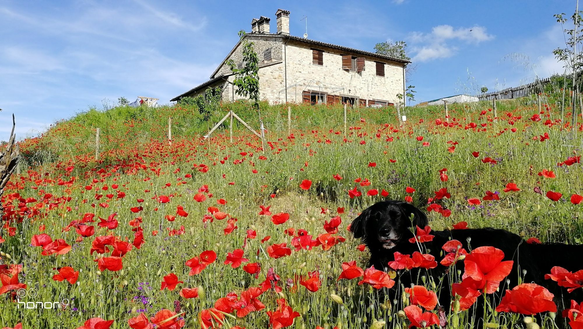 Bed and Breakfast Casale Le Orme Todi Zewnętrze zdjęcie